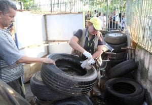 Paraguay: confirmaron aumento de casos de dengue y tres nuevos infectados por chikungunya imagen-4