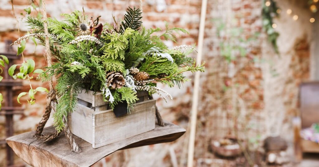 El truco de los jardineros expertos para que tus plantas sobrevivan al invierno sin sufrir y florezcan en primavera imagen-99