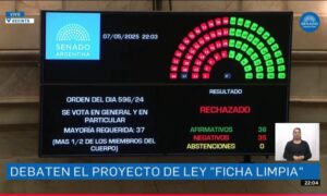 Senado rechazó Ficha Limpia con los votos de Arce y Rojas Decut imagen-3