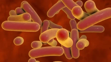 Brote de fiebre tifoidea en el AMBA: ya son 15 los casos confirmados imagen-6