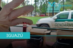 Gendarmería interceptó más de 150 paquetes de marihuana, listos para ser enviados por encomienda imagen-70