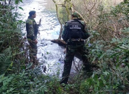 Intensifican controles en el Parque Urugua-í para combatir la caza furtiva y proteger la biodiversidad imagen-65