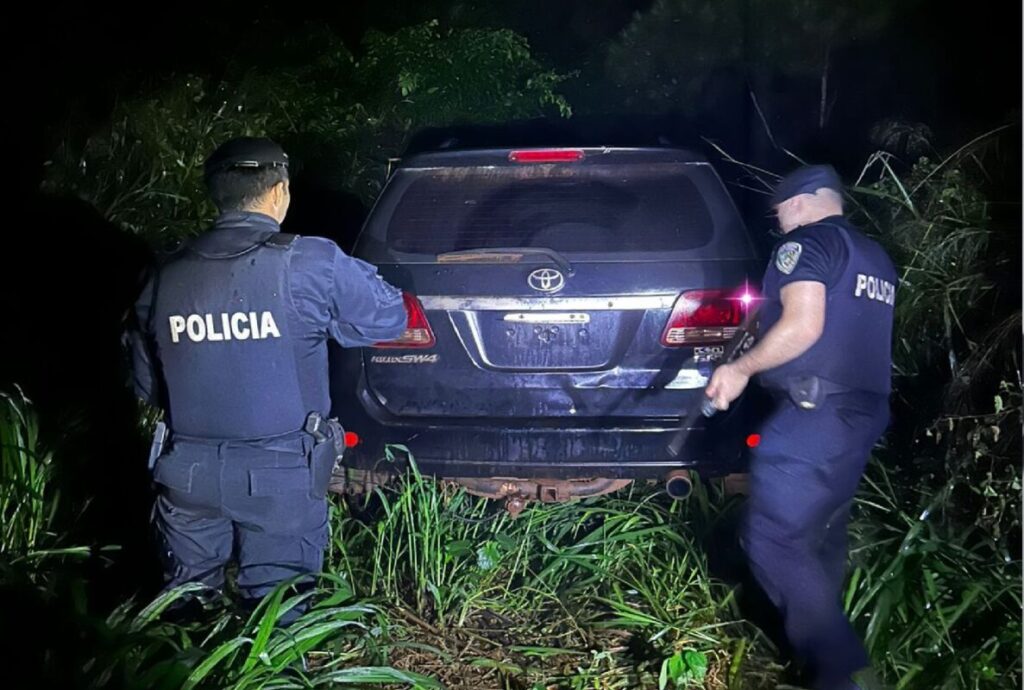 Puerto Esperanza: operativo policial permitió recuperar una camioneta robada imagen-67