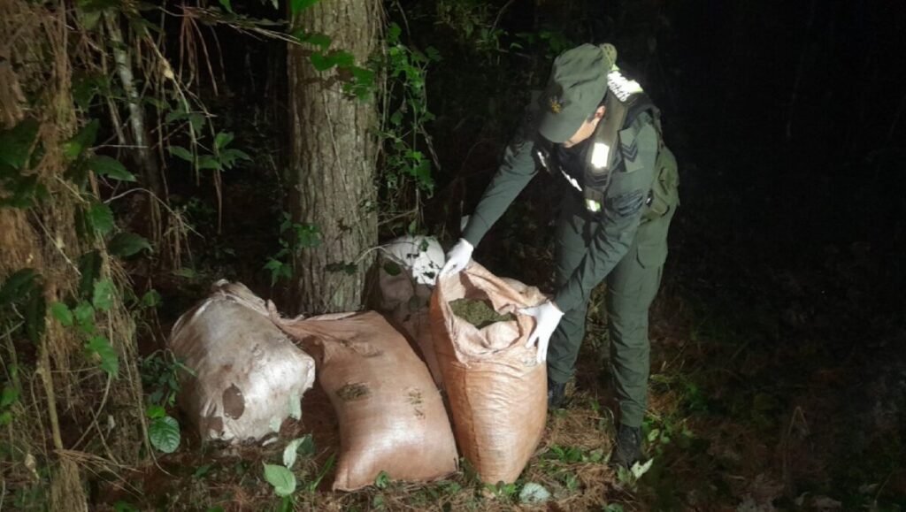 Patrullas de Gendarmería detectaron más de 235 kilos de marihuana en dos operativos realizados en Misiones imagen-5
