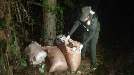 Patrullas de Gendarmería detectaron más de 235 kilos de marihuana en dos operativos realizados en Misiones imagen-69