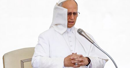 El papa León XIV reclamó que el ingreso de ayuda humanitaria a Gaza: "Niños, ancianos y enfermos pagan el precio desgarrador de las hostilidades" imagen-17