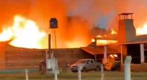 Misiones | Un voraz incendio en un secadero de yerba mate dejó pérdidas millonarias imagen-2