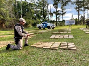 Incautan en Puerto Rico más de 1.780 kilos de droga cuyo avalúo supera los $5.170 millones imagen-4