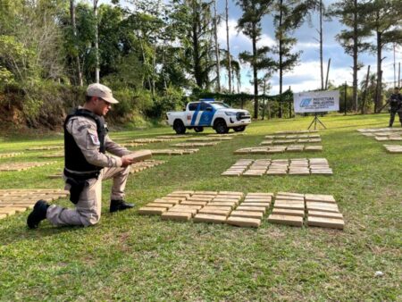 Incautan en Puerto Rico más de 1.780 kilos de droga cuyo avalúo supera los $5.170 millones imagen-4