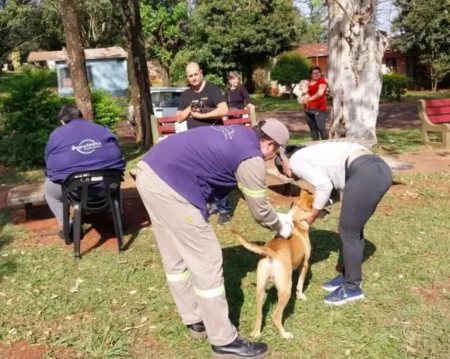 Programación semanal de la vacunación antirrábica en Jardín América imagen-7