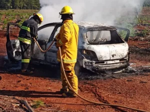 Un automóvil fue consumido por las llamas cerca del río Paraná imagen-75