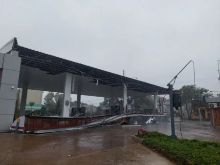 Calles anegadas y árboles caídos por el fuerte temporal que azota Posadas imagen-7