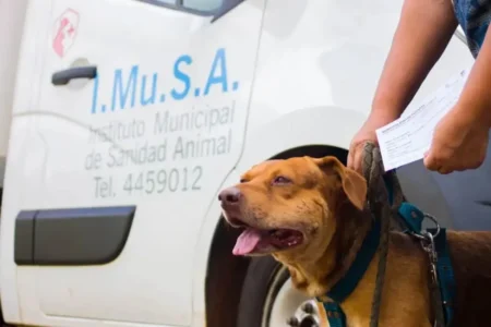 Imusa: esta semana atenderán a mascotas en barrios de Posadas imagen-14