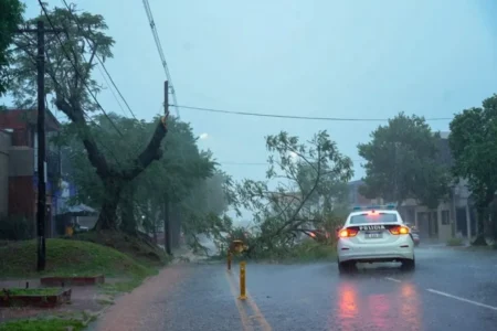 Zonas sin luz en Posadas y semáforos fuera de funcionamiento por las intensas lluvias imagen-16