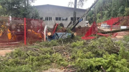 Furia del clima en Brasil: supertormenta arrasó zonas cercanas a la frontera con Misiones imagen-4