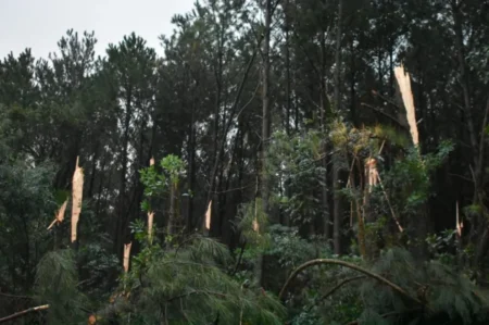 Piden asistencia para familias de la comunidad Aborigen Alecrin, damnificadas por el Temporal imagen-24