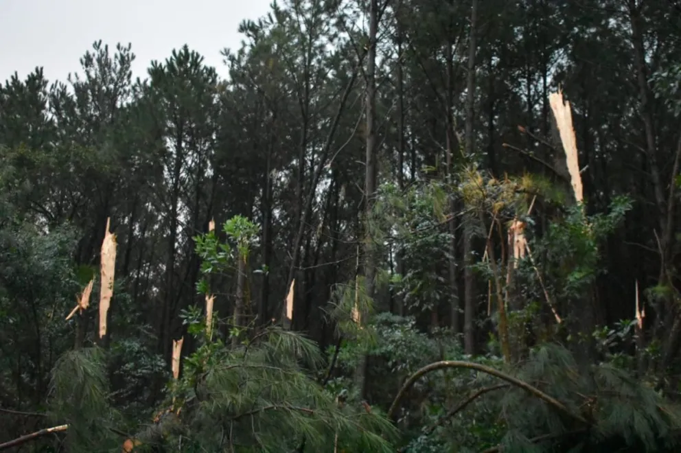 Piden asistencia para familias de la comunidad Aborigen Alecrin, damnificadas por el Temporal imagen-5