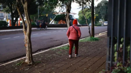 Misiones bajo frío intenso: se mantiene la advertencia por bajas temperaturas hasta el domingo imagen-8