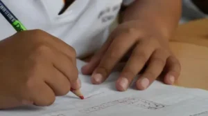 Un informe muestra cuánto podrían mejorar los aprendizajes si se utiliza mejor la inversión educativa imagen-2