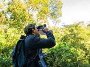 Inauguran dos nuevos clubes de observadores de aves en Misiones imagen-2