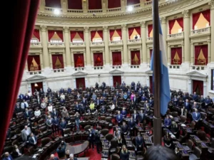 La Federación de Profesionales de Misiones rechaza la matrícula única nacional imagen-2