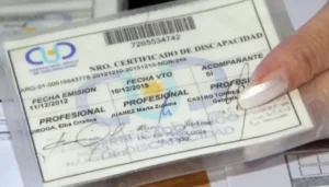 Confusión e incertidumbre en Misiones por cambios en la auditoría de pensiones no contributivas imagen-1