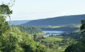 Nación convalidó el Plan de Respuesta al Cambio Climático de Misiones imagen-1