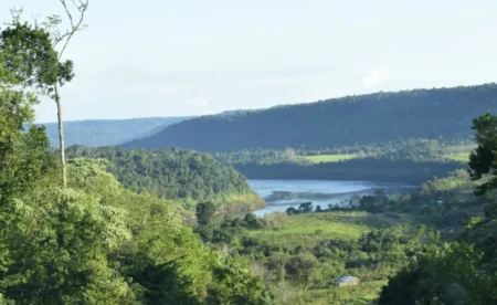 Nación convalidó el Plan de Respuesta al Cambio Climático de Misiones imagen-7