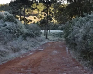 Anuncian la llegada de aire polar a Misiones desde el jueves 22 imagen-2
