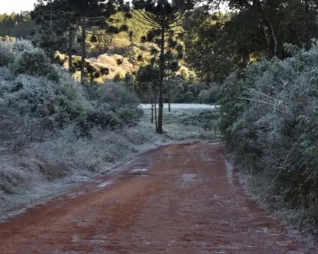 Anuncian la llegada de aire polar a Misiones desde el jueves 22 imagen-9