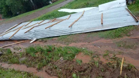 La tormenta dejó daños en distintos barrios de Posadas y Garupá imagen-20