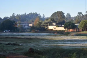 La capital de la Araucaria, registró la primera helada del año imagen-2