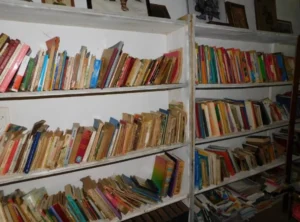 La biblioteca popular Pedro Abdón Fernández de Puerto Libertad, se prepara para celebrar su primer aniversario imagen-2