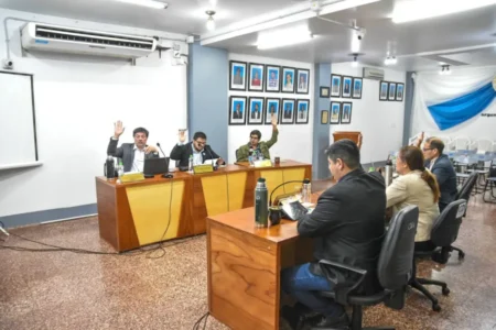 Eldorado: el Concejo Deliberante aprobó el balance del año 2024 imagen-24
