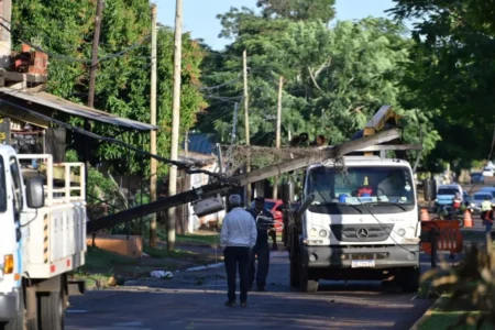 Posadas continúa con tareas de limpieza tras 260 emergencias por el temporal imagen-11