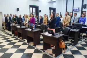 Posadas aprobó la creación de centros estratégicos para situaciones de violencia de género imagen-2