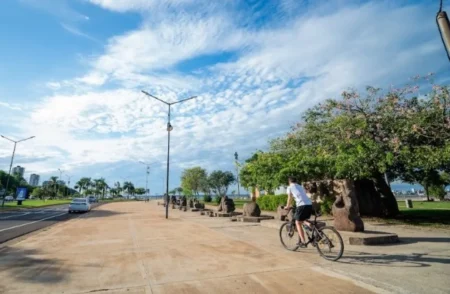 Sábado soleado en Misiones: el clima acompaña para paseos, deporte y relax imagen-19