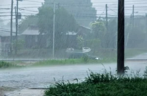 Misiones y un viernes de tormentas intensas y fuertes ráfagas de viento imagen-1