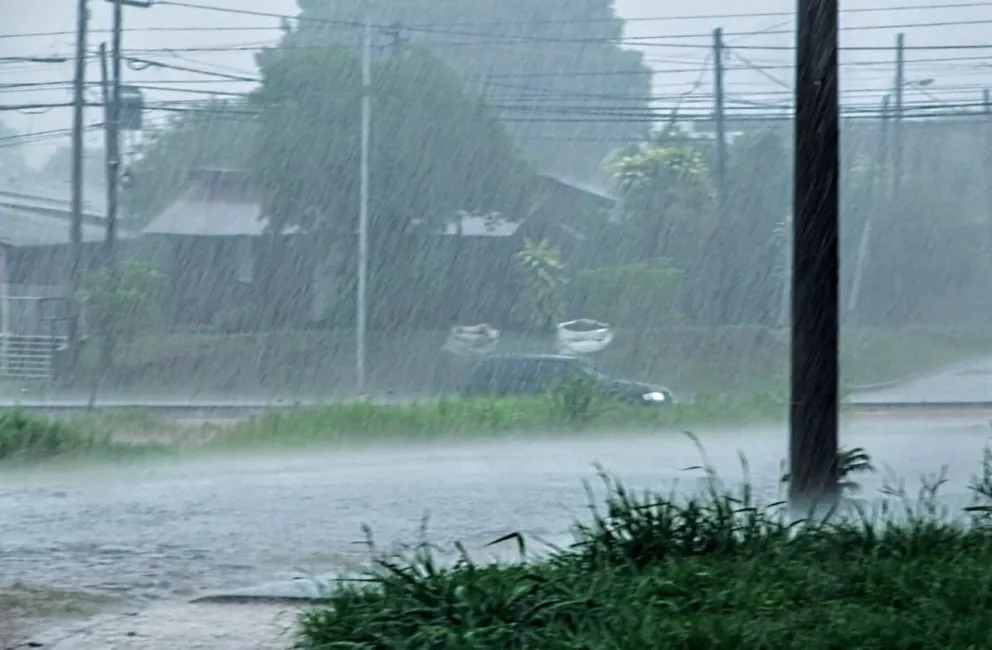 Misiones y un viernes de tormentas intensas y fuertes ráfagas de viento imagen-5
