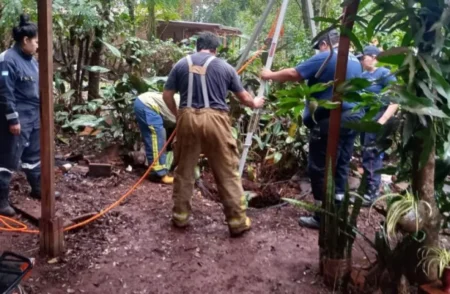 Iguazú: los Bomberos Voluntarios rescataron a Atenea que cayó en un pozo imagen-10