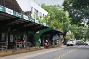 Choferes de colectivo de Posadas reducen frecuencias por falta de pago imagen-3
