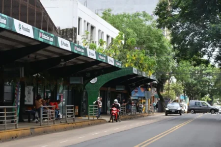 Choferes de colectivo de Posadas reducen frecuencias por falta de pago imagen-12
