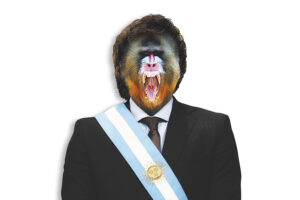 LA ESTRATEGIA DE LOS MANDRILES imagen-3