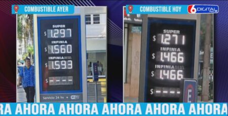 Combustibles: La rebaja es dispar y la genta sigue haciendo su «blend» imagen-30