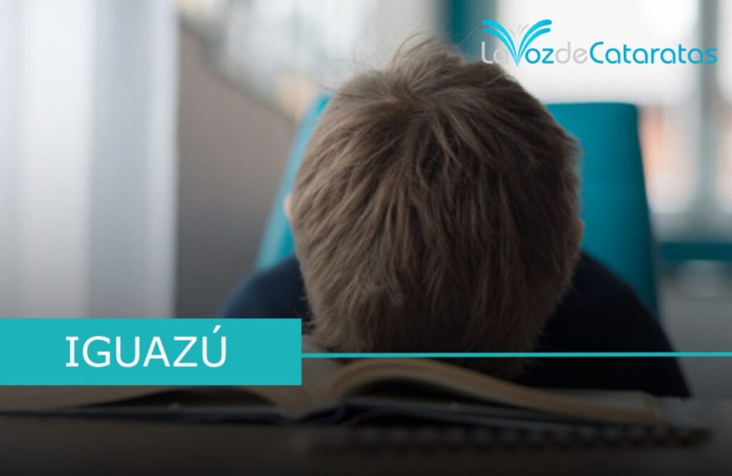 Prueba Aprender: solo el 45% de los alumnos de tercer grado alcanza el nivel esperado en lectura imagen-5