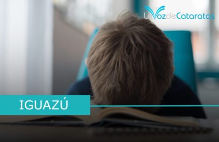 Prueba Aprender: solo el 45% de los alumnos de tercer grado alcanza el nivel esperado en lectura imagen-70
