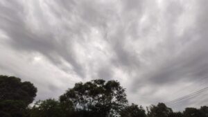 Tiempo en Misiones: Cómo seguirán las temperaturas y para cuándo se esperan tormentas fuertes  imagen-75