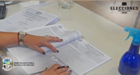Elecciones 8J: Misiones tiene 22.306 nuevos electores, el Padrón pasó de 979.882 a 1.002.188 sufragantes imagen-16