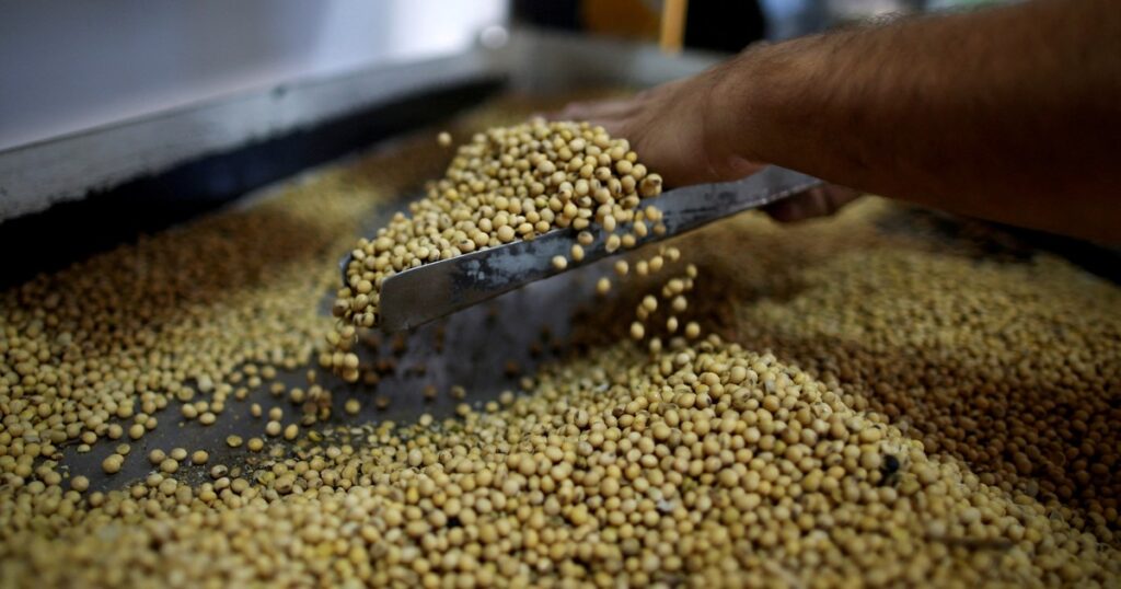 Soja: entre la esperanza de un acuerdo comercial y una realidad de débil demanda global imagen-98
