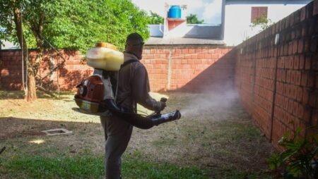 En algunos barrios de la ciudad la presencia de criaderos de Aedes aegypti rondó el 15% imagen-12